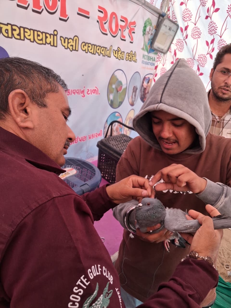 Animal and bird treatment camp on the occasion of Uttarayan